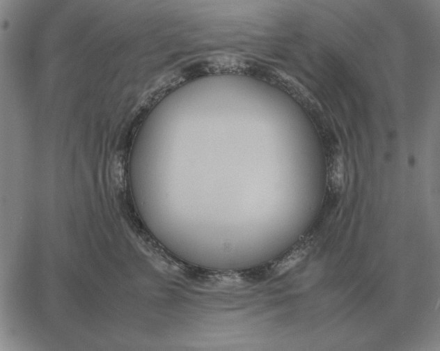 X0000061720715200512231408