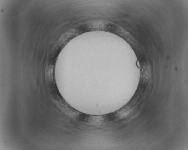 X0000061720717200512231408