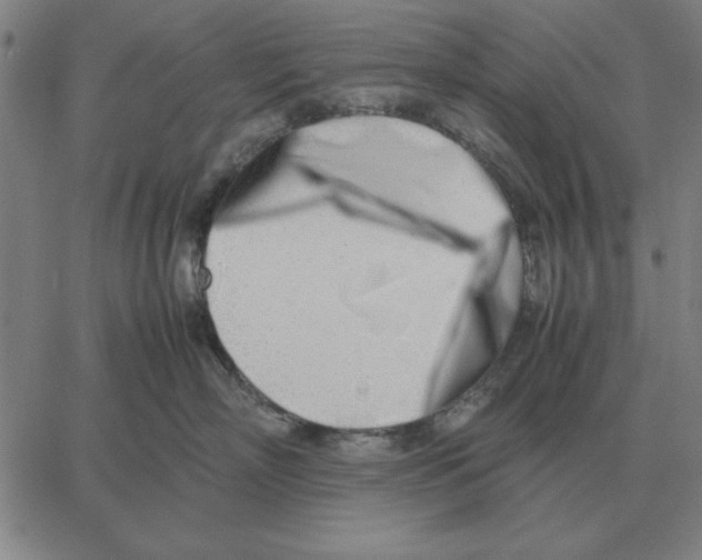 X0000061720718200512231408