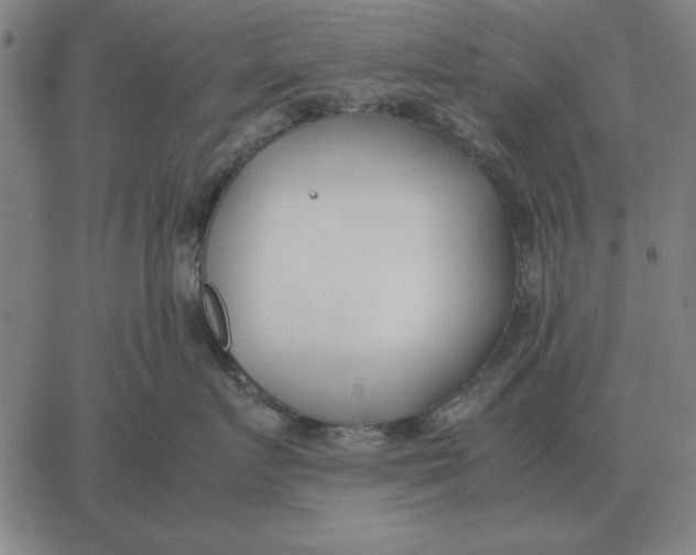 X0000061720719200512231408