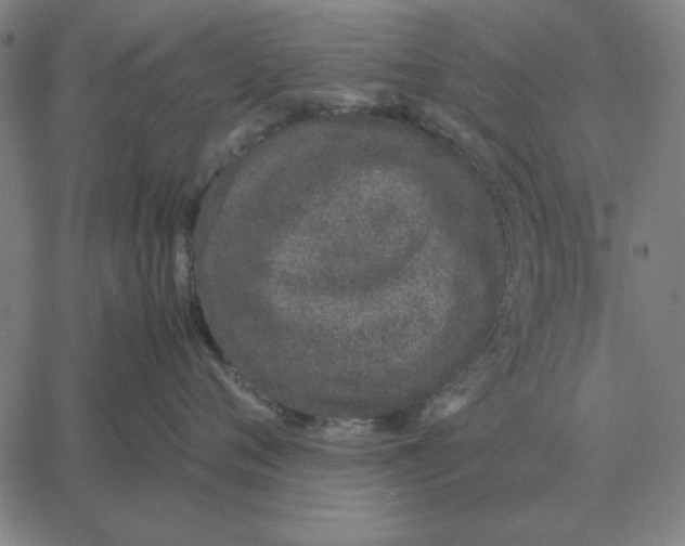 X0000061720720200512231408