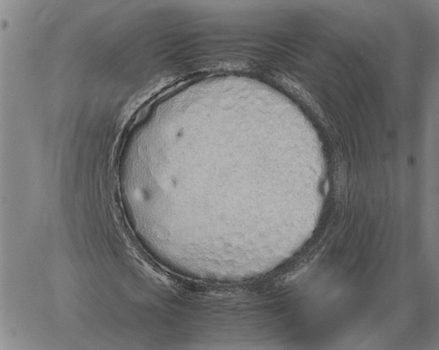 X0000061720721200512231408