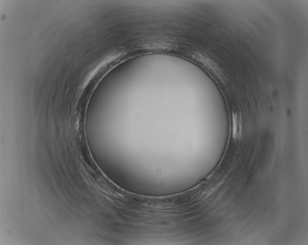 X0000061720723200512231408