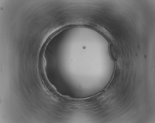 X0000061720724200512231408