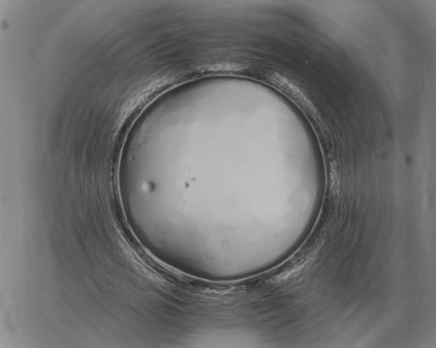 X0000061720725200512231408