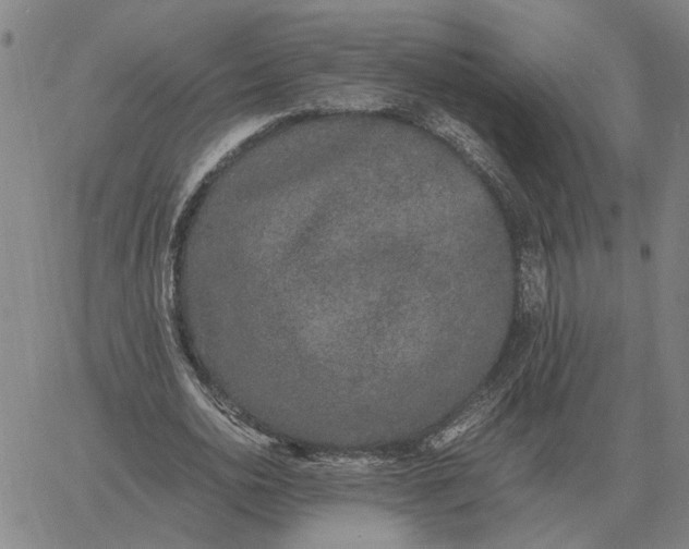 X0000061720726200512231408