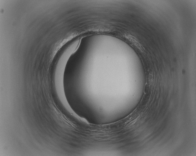 X0000061720727200512231408