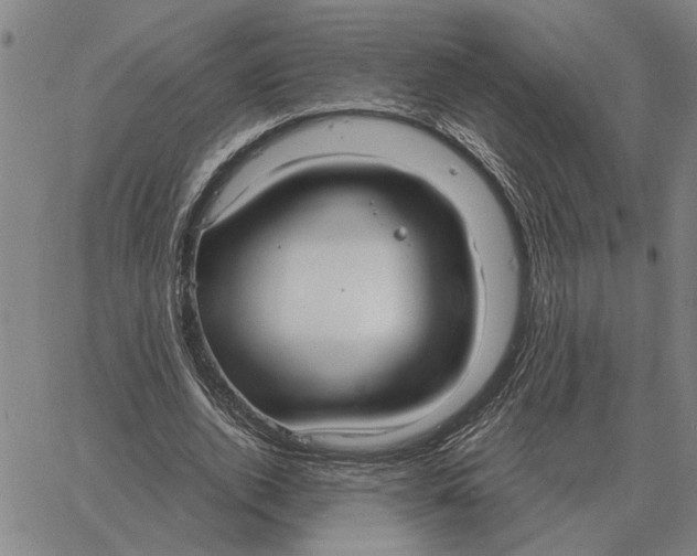 X0000061720728200512231408