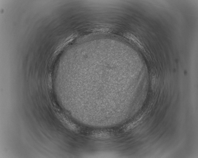 X0000061720729200512231408