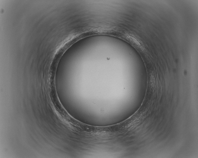 X0000061720730200512231408