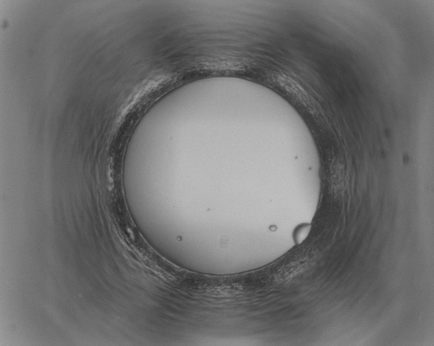 X0000061720731200512231408