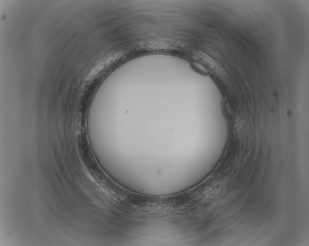 X0000061720732200512231408