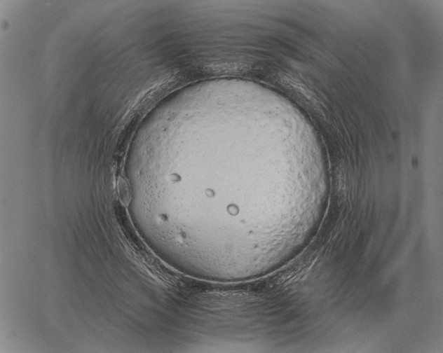 X0000061720733200512231408