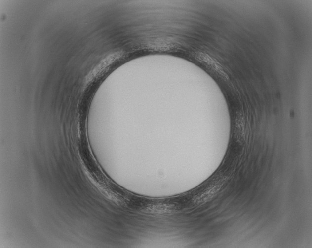 X0000061720734200512231408