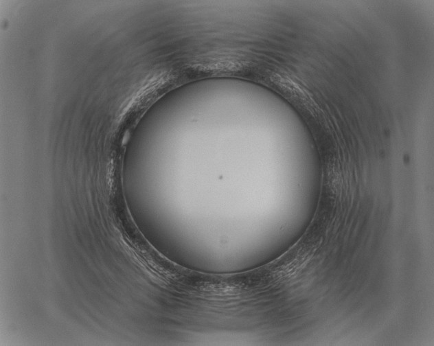 X0000061720735200512231408