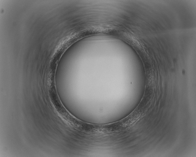 X0000061720736200512231408