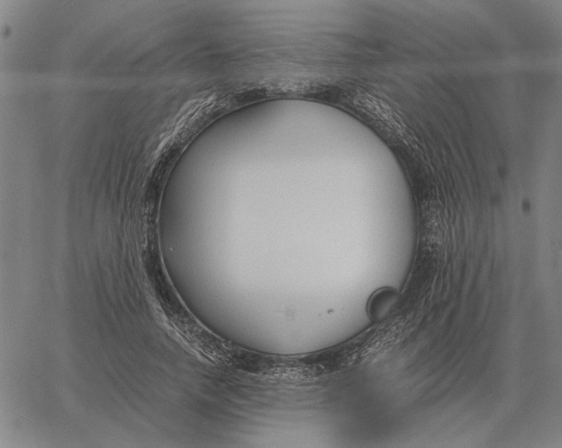 X0000061720738200512231408