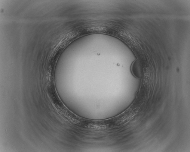 X0000061720739200512231408