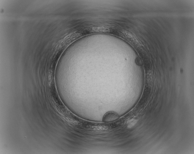 X0000061720741200512231408