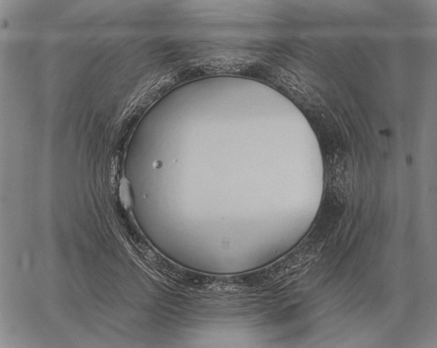 X0000061720742200512231408