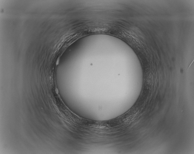 X0000061720743200512231408