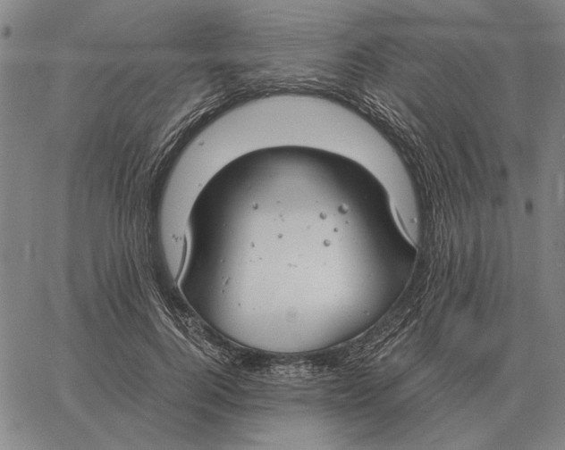 X0000061720744200512231408