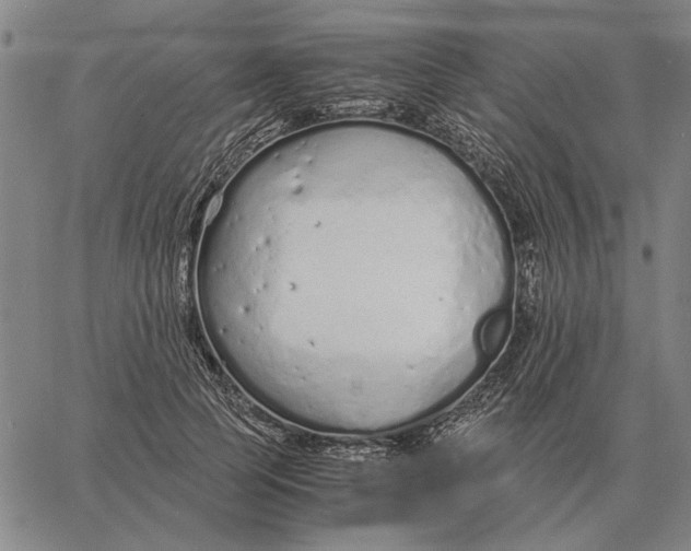 X0000061720745200512231408