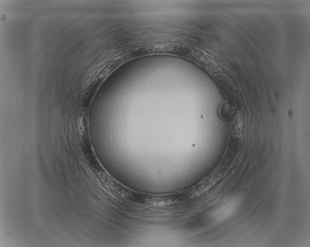 X0000061720746200512231408