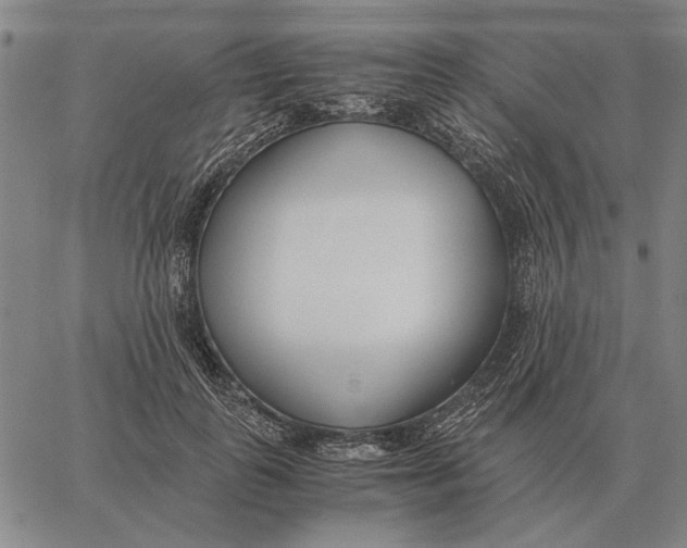 X0000061720747200512231408