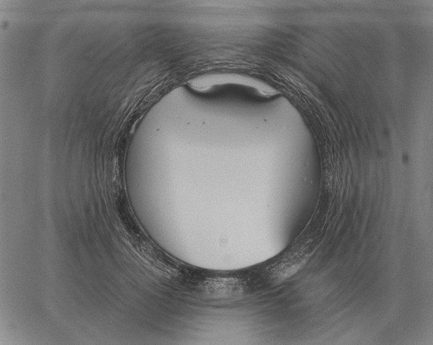 X0000061720748200512231408