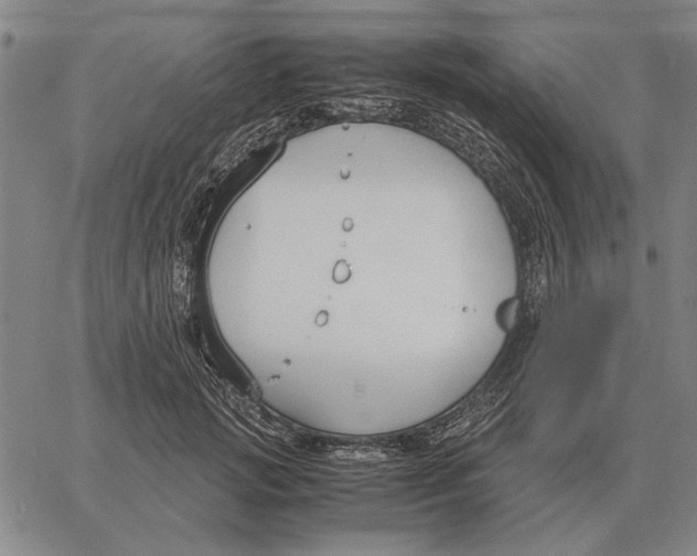 X0000061720749200512231408