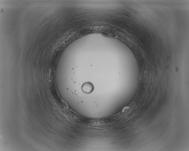 X0000061720750200512231408