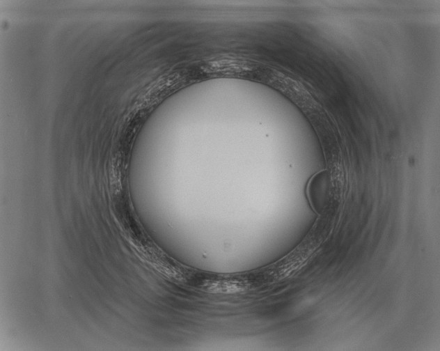 X0000061720751200512231408