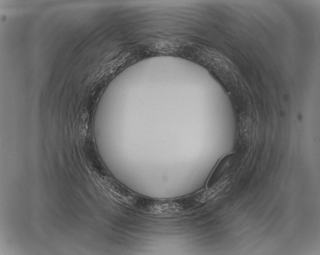 X0000061720752200512231408