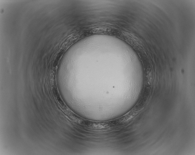 X0000061720753200512231408