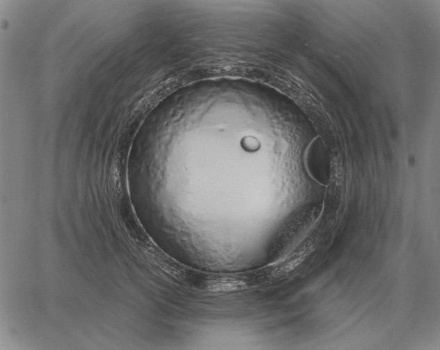 X0000061720754200512231408