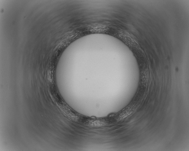 X0000061720755200512231408