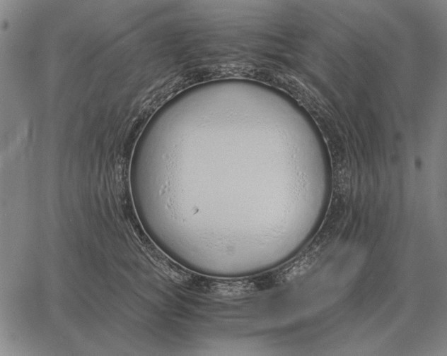 X0000061720757200512231408