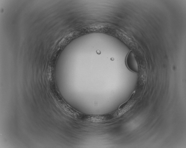 X0000061720758200512231408