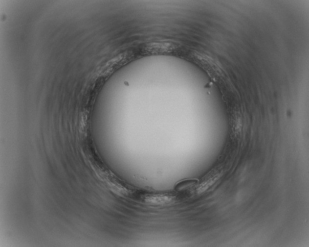 X0000061720759200512231408