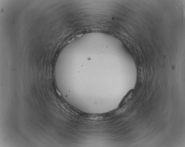 X0000061720760200512231408