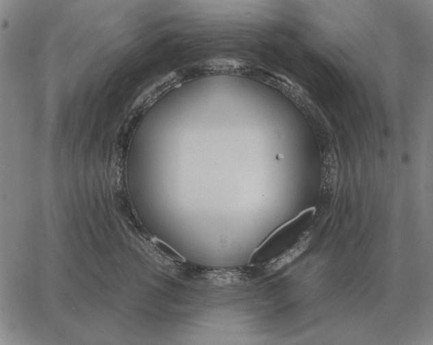 X0000061720762200512231408