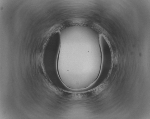 X0000061720764200512231408