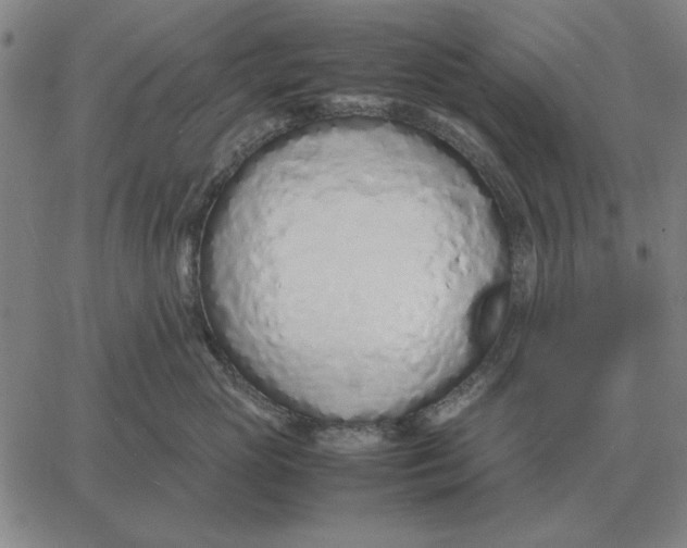 X0000061720765200512231408