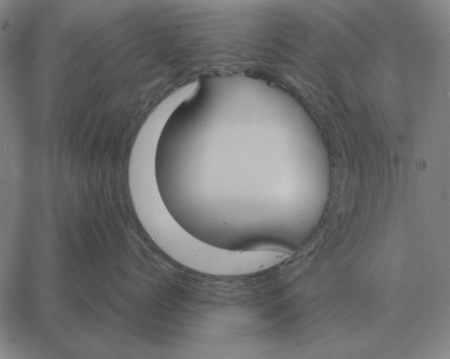 X0000061720768200512231408