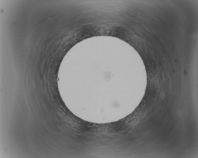 X0000061720769200512231407