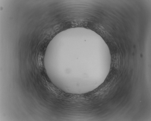 X0000061720770200512231407