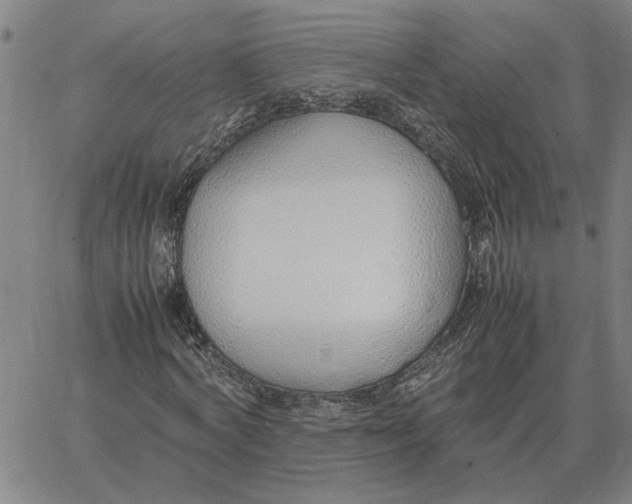 X0000061720772200512231407