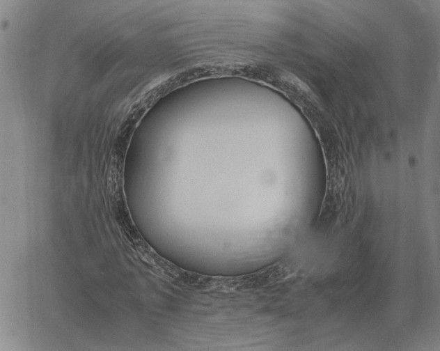 X0000061720773200512231407