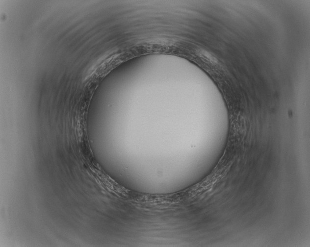 X0000061720774200512231407